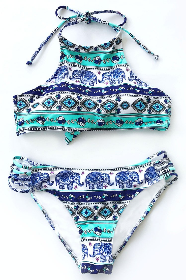 Tropical Print Striped Trim Bikini Set