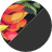 color icon
