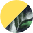 color icon