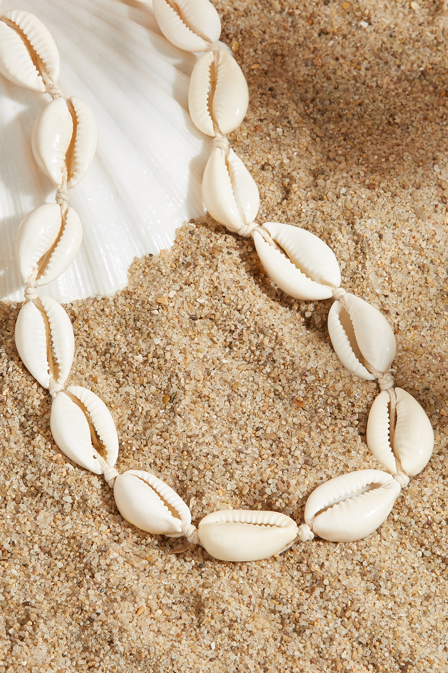 Cowrie Shell Choker Necklace