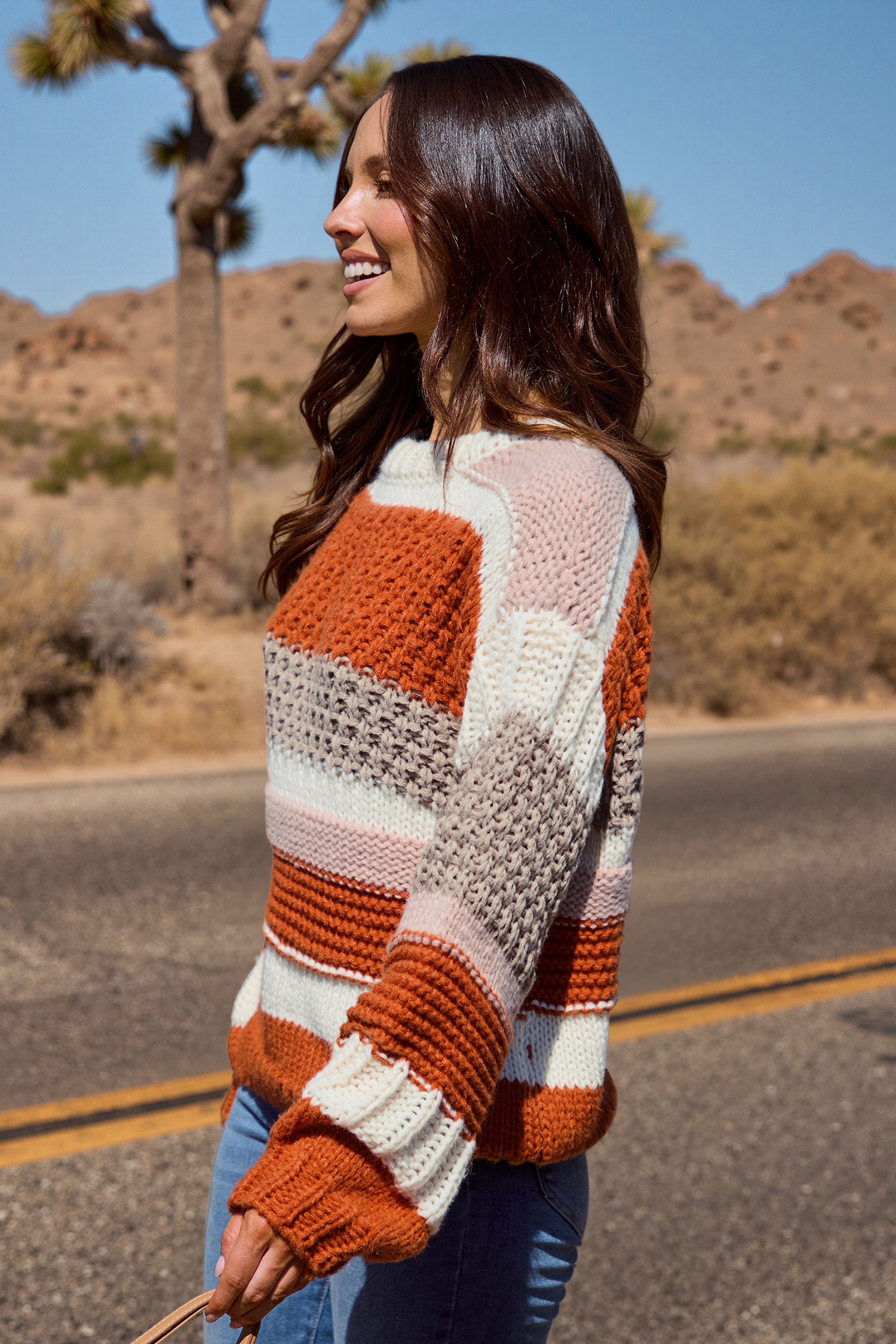 Striped Chunky Knit Long Sleeve Sweater