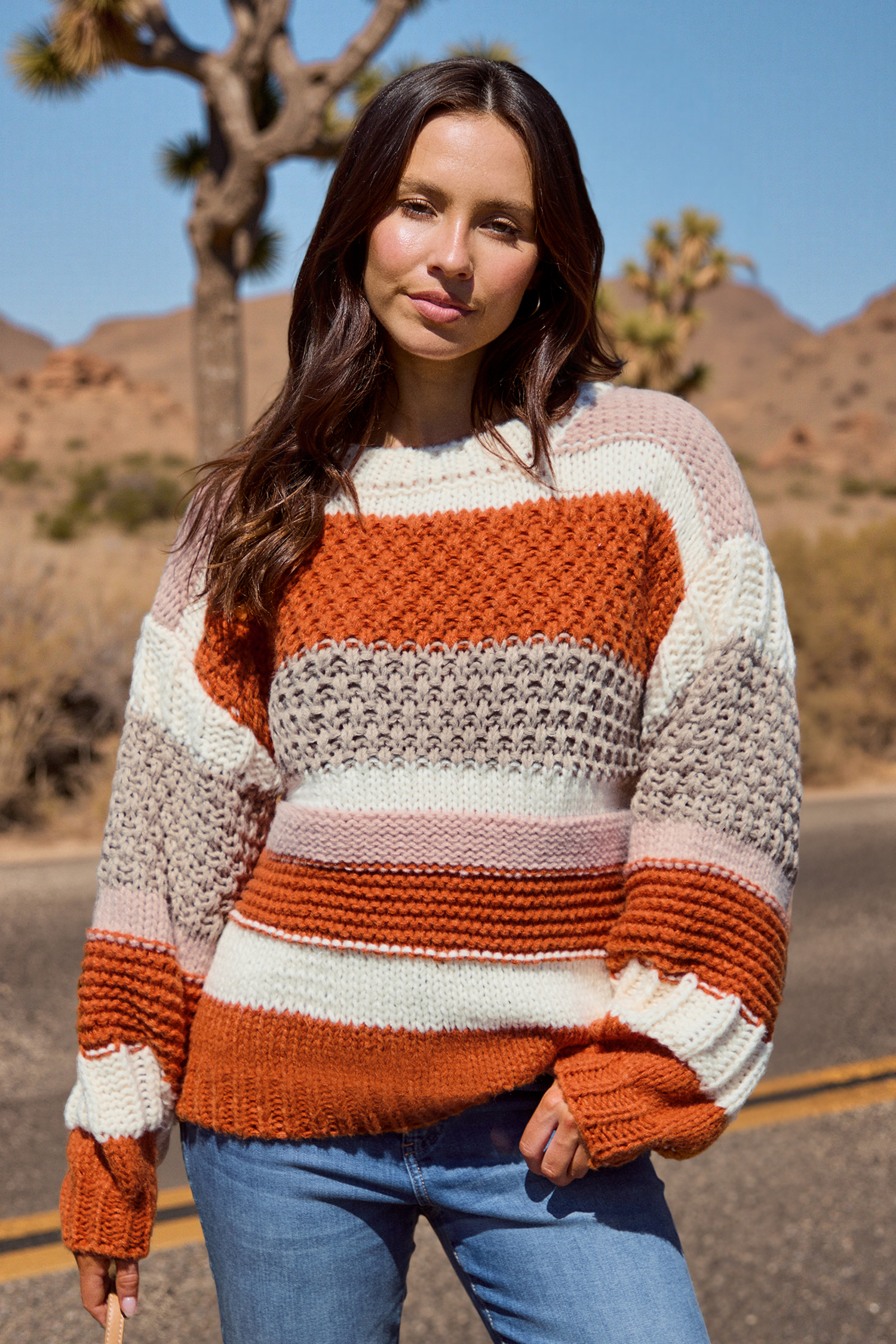 Striped Chunky Knit Long Sleeve Sweater