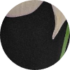 color icon