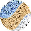 color icon