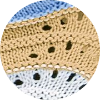 color icon