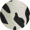 color icon