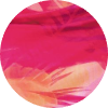 color icon