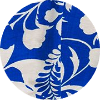 color icon