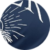 color icon