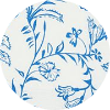 color icon