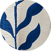 color icon
