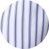 color icon