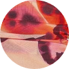 color icon