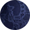 color icon