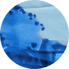color icon