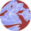 color icon