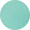 color icon