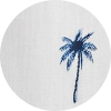 color icon