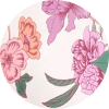 color icon