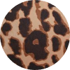 color icon