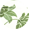 color icon