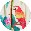 color icon