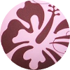 color icon