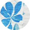 color icon