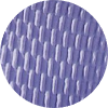 color icon