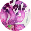 color icon