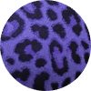 color icon