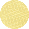 color icon