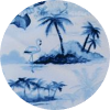color icon