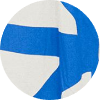 color icon
