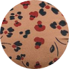 color icon
