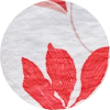 color icon