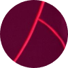 color icon