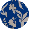 color icon