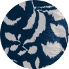 color icon