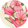 color icon