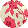 color icon