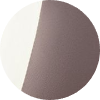 color icon