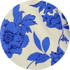 color icon