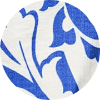 color icon