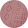 color icon