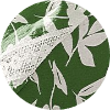 color icon