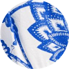 color icon