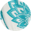 color icon
