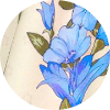 color icon