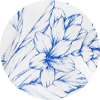 color icon
